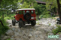 DSC00519.jpg