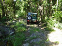 DSC05097.jpg