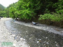 DSC00246.jpg